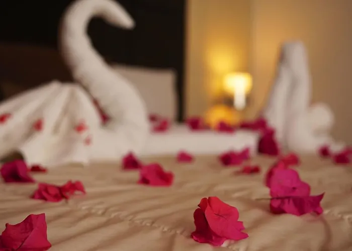 Bambu Aparthotel 3*